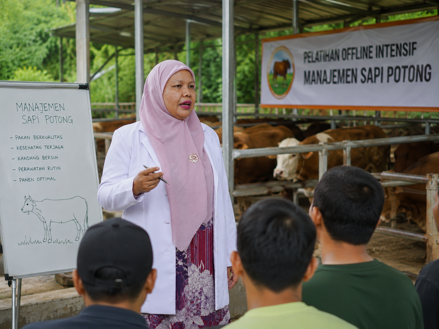 Pelatihan Offline Intensif Manajemen Sapi Potong